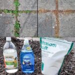 A Comprehensive Guide to Cultivating Sweet Potatoes in Soil Bags